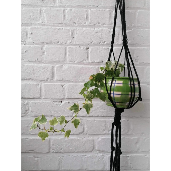 Suspension pour plante