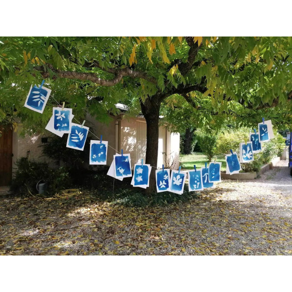 FAMILLE: Jeu de famille - Mémo nature